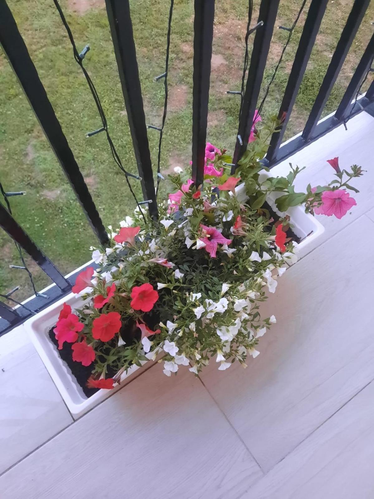 Casa Daniel Konuk evi Sibisel  Dış mekan fotoğraf